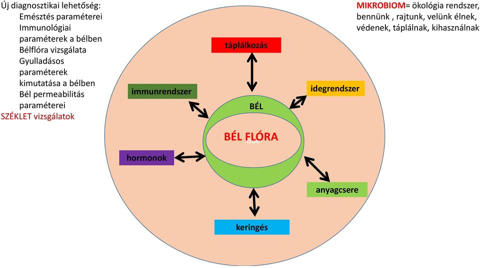 vizsgálatok immunrendszer táplálkozás BÉL idegrendszer MIKROBIOM= ökológia rendszer, bennünk,