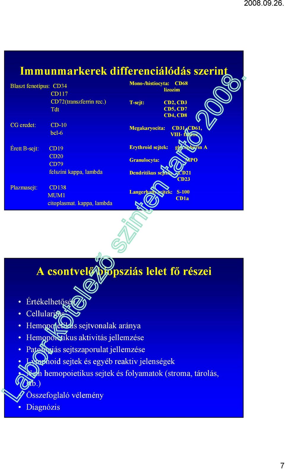 kappa, lambda CD138 MUM1 citoplasmat.