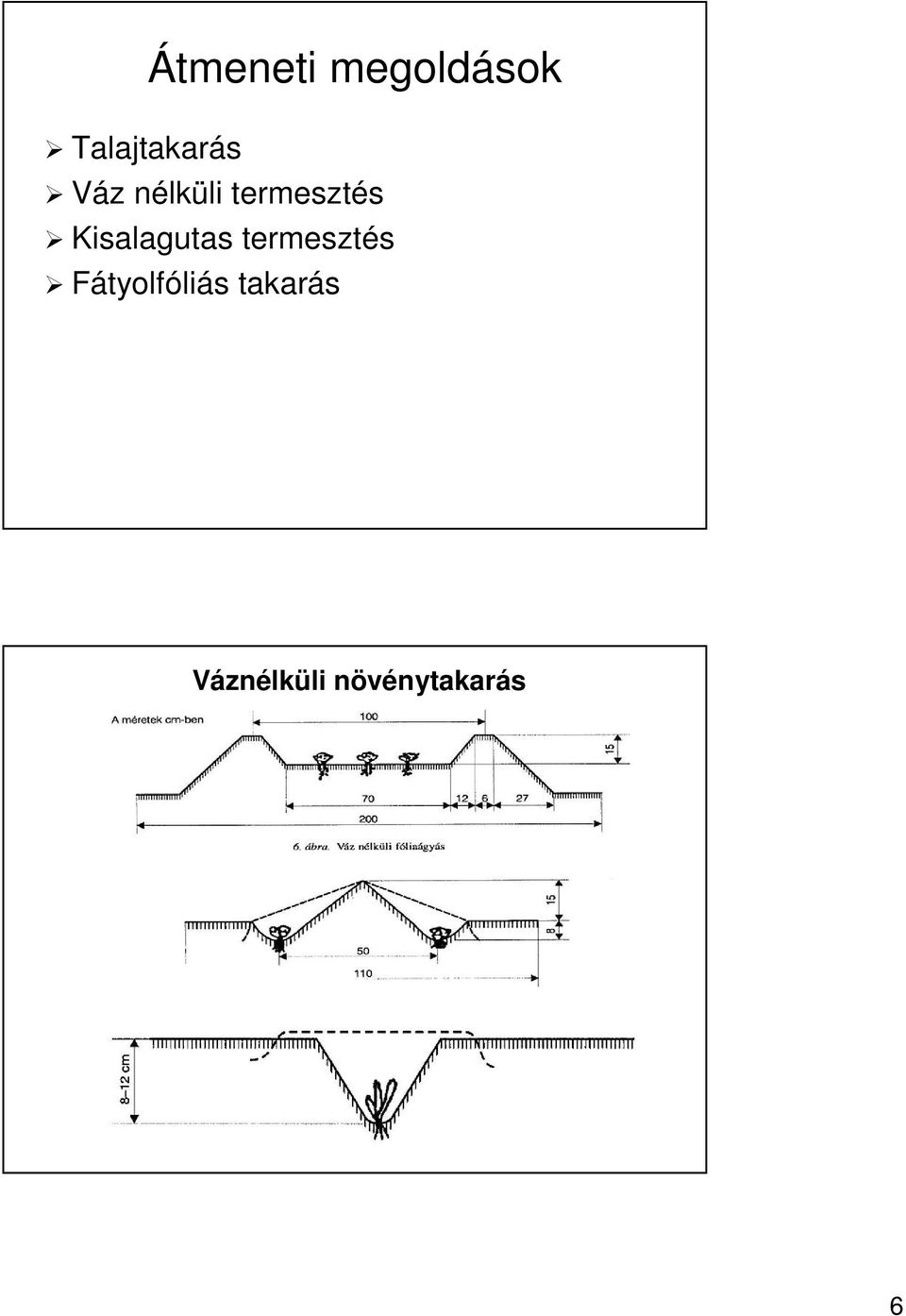 termesztés Kisalagutas