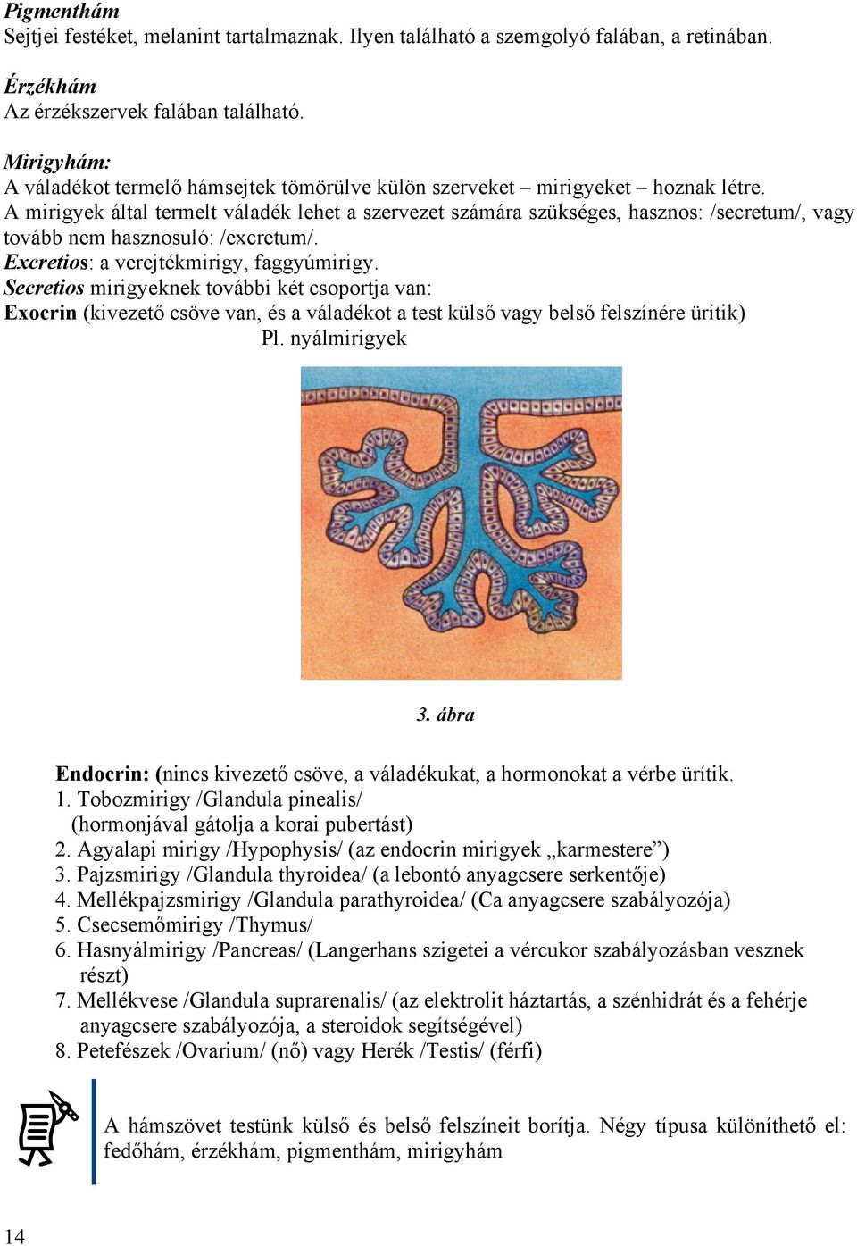 A mirigyek által termelt váladék lehet a szervezet számára szükséges, hasznos: /secretum/, vagy tovább nem hasznosuló: /excretum/. Excretios: a verejtékmirigy, faggyúmirigy.