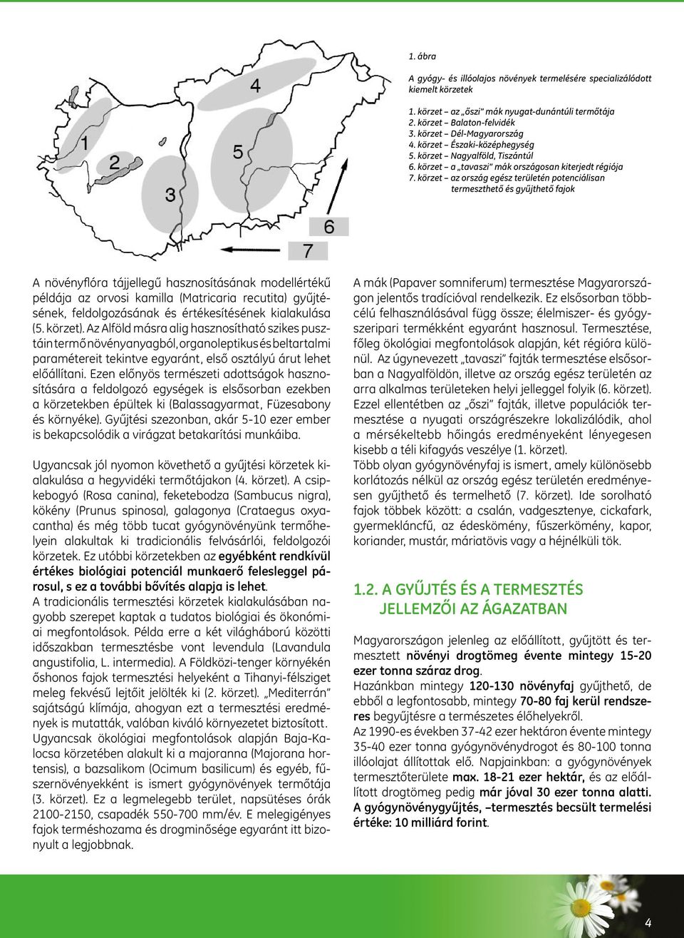 körzet az ország egész területén potenciálisan termeszthető és gyűjthető fajok A növényflóra tájjellegű hasznosításának modellértékű példája az orvosi kamilla (Matricaria recutita) gyűjtésének,