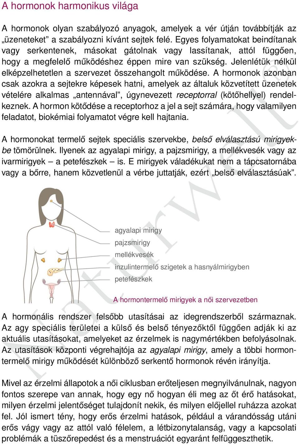 Jelenlétük nélkül elképzelhetetlen a szervezet összehangolt működése.