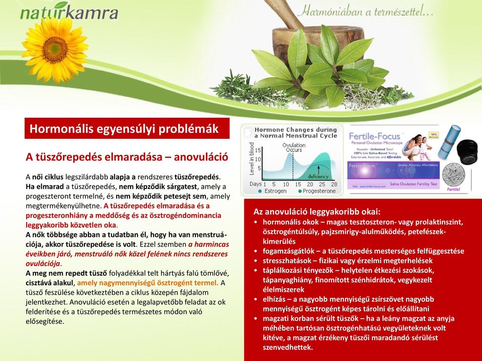 A tüszőrepedés elmaradása és a progeszteronhiány a meddőség és az ösztrogéndominancia leggyakoribb közvetlen oka.