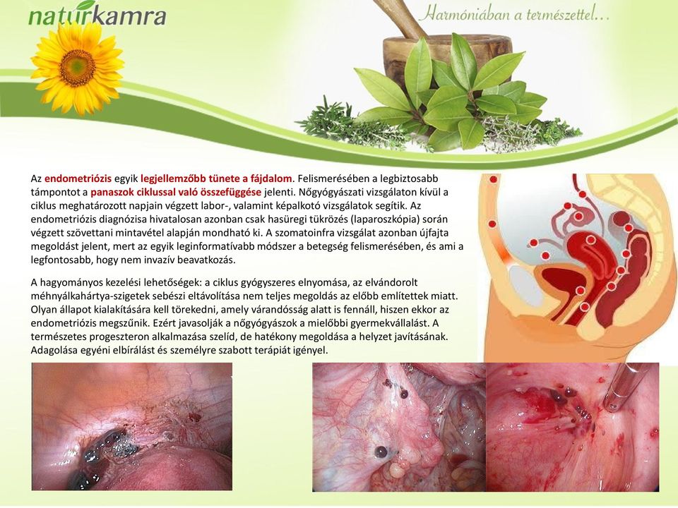 Az endometriózis diagnózisa hivatalosan azonban csak hasüregi tükrözés (laparoszkópia) során végzett szövettani mintavétel alapján mondható ki.