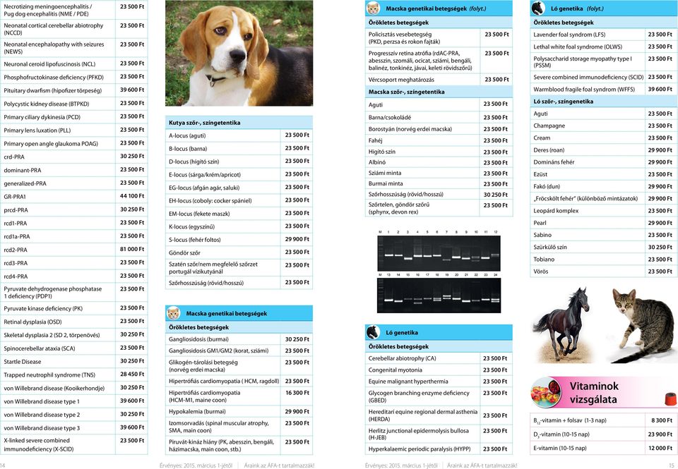 POAG) crd-pra dominant-pra generalized-pra GR-PRA1 prcd-pra rcd1-pra rcd1a-pra rcd2-pra rcd3-pra rcd4-pra Pyruvate dehydrogenase phosphatase 1 deficiency (PDP1) 39 600 Ft 44 100 Ft 81 000 Ft Kutya