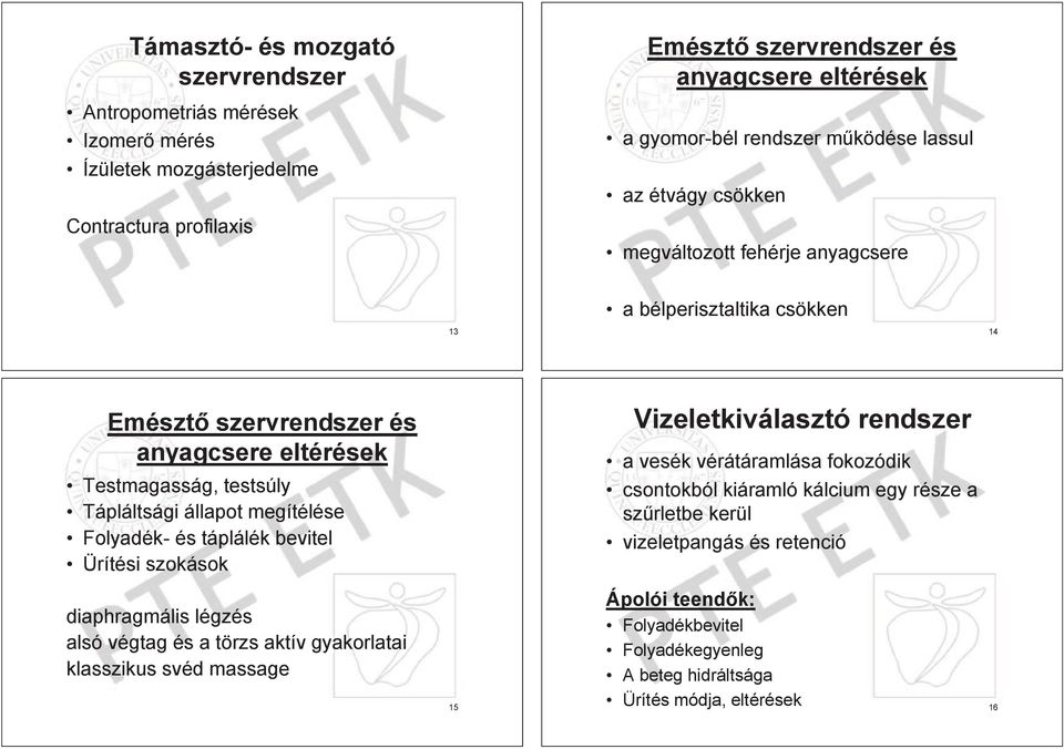 megítélése Folyadék- és táplálék bevitel Ürítési szokások diaphragmális légzés alsó végtag és a törzs aktív gyakorlatai klasszikus svéd massage 15 Vizeletkiválasztó rendszer a vesék