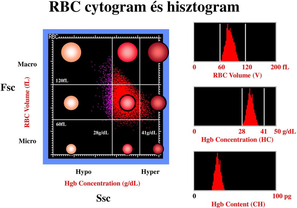 Volume (V) 0 28 41 50 g/dl Hgb Concentration (HC) Hypo