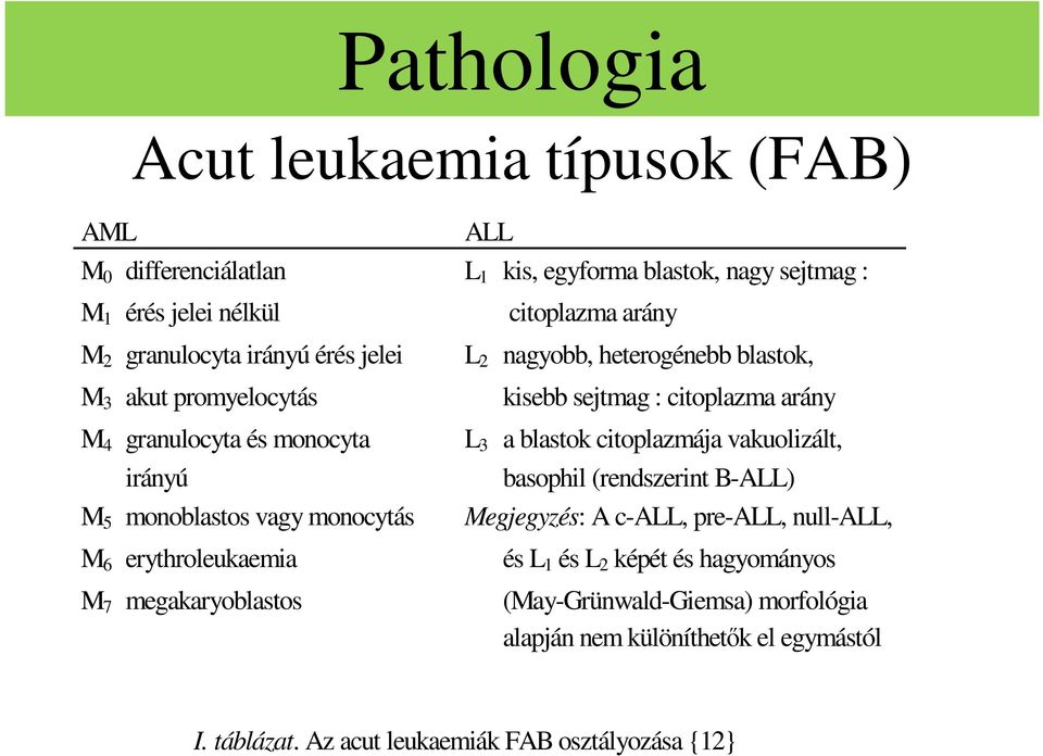 citoplazmája vakuolizált, irányú M 5 monoblastos vagy monocytás M 6 erythroleukaemia M 7 megakaryoblastos basophil (rendszerint B-ALL) Megjegyzés: A c-all,