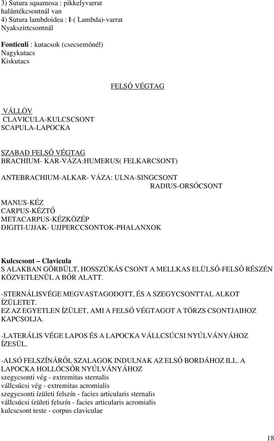 DIGITI-UJJAK- UJJPERCCSONTOK-PHALANXOK Kulcscsont Clavicula S ALAKBAN GÖRBÜLT, HOSSZÚKÁS CSONT A MELLKAS ELÜLSŐ-FELSŐ RÉSZÉN KÖZVETLENÜL A BŐR ALATT.