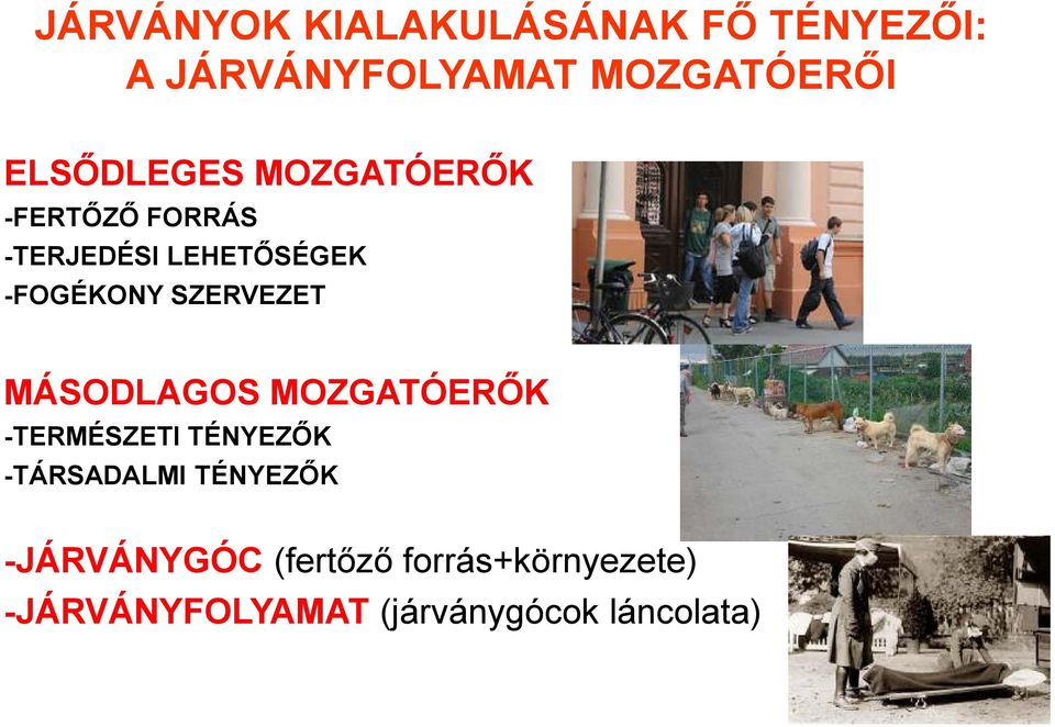 SZERVEZET MÁSODLAGOS MOZGATÓERŐK -TERMÉSZETI TÉNYEZŐK -TÁRSADALMI