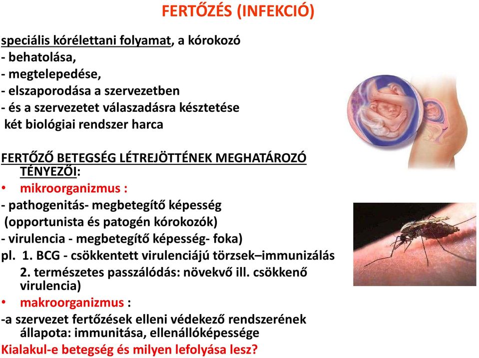 patogén kórokozók) - virulencia - megbetegítő képesség- foka) pl. 1. BCG - csökkentett virulenciájú törzsek immunizálás 2. természetes passzálódás: növekvő ill.