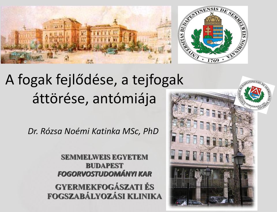 Rózsa Noémi Katinka MSc, PhD SEMMELWEIS