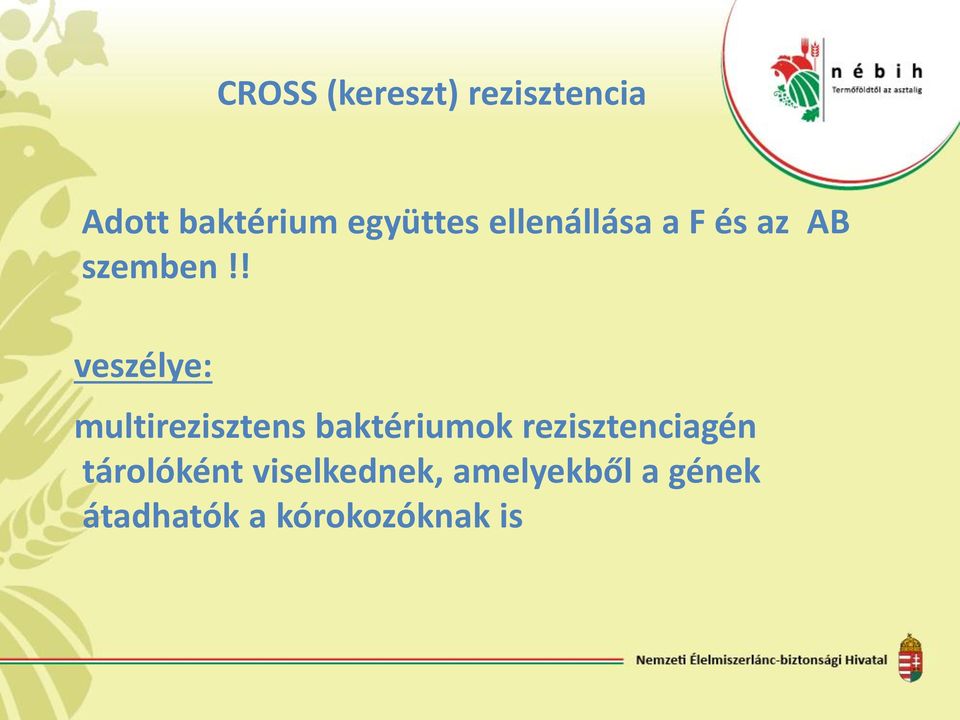 ! veszélye: multirezisztens baktériumok