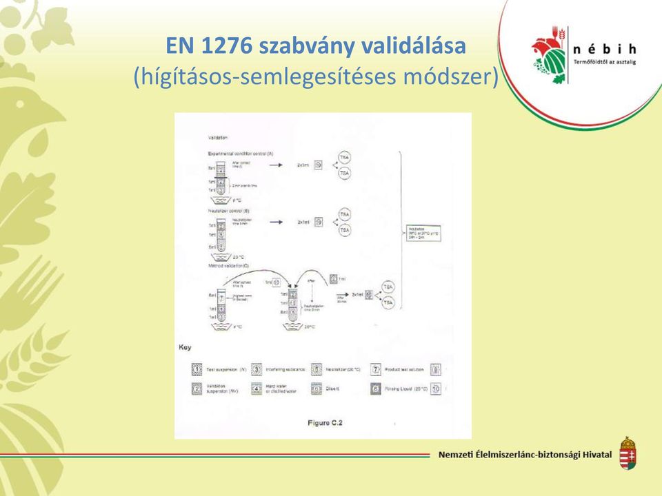 validálása