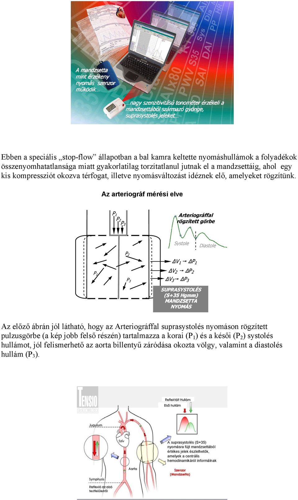 amelyeket rögzítünk.