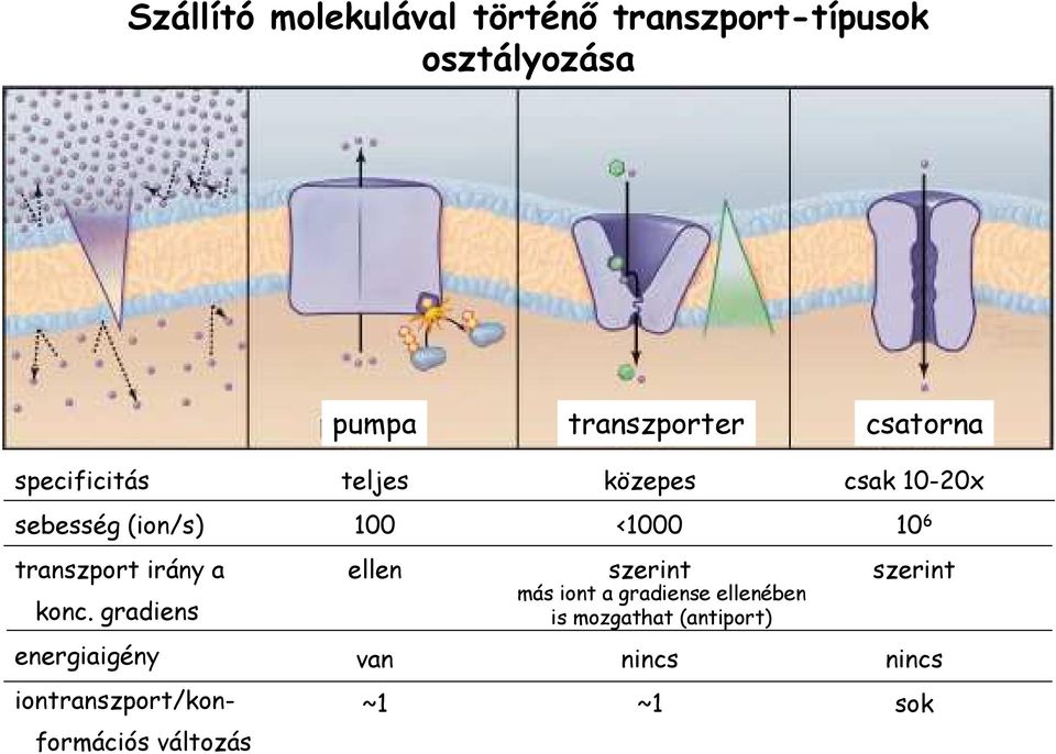 transzport irány a konc.