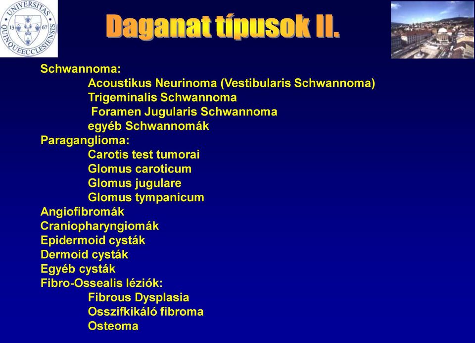 Glomus jugulare Glomus tympanicum Angiofibromák Craniopharyngiomák Epidermoid cysták