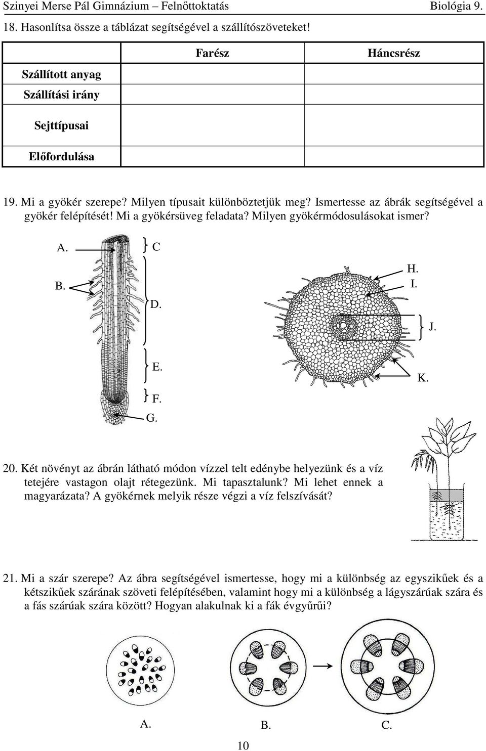 Két növényt az ábrán látható módon vízzel telt edénybe helyezünk és a víz tetejére vastagon olajt rétegezünk. Mi tapasztalunk? Mi lehet ennek a magyarázata?