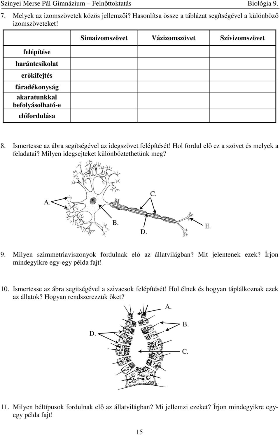 Ismertesse az ábra segítségével az idegszövet felépítését! Hol fordul elő ez a szövet és melyek a feladatai? Milyen idegsejteket különböztethetünk meg? 9.