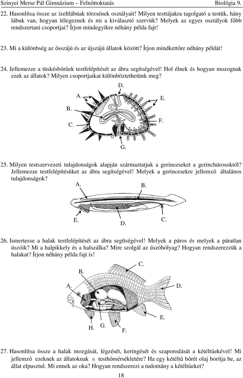 Jellemezze a tüskésbőrűek testfelépítését az ábra segítségével! Hol élnek és hogyan mozognak ezek az állatok? Milyen csoportjaikat különböztethetünk meg? G. 25.