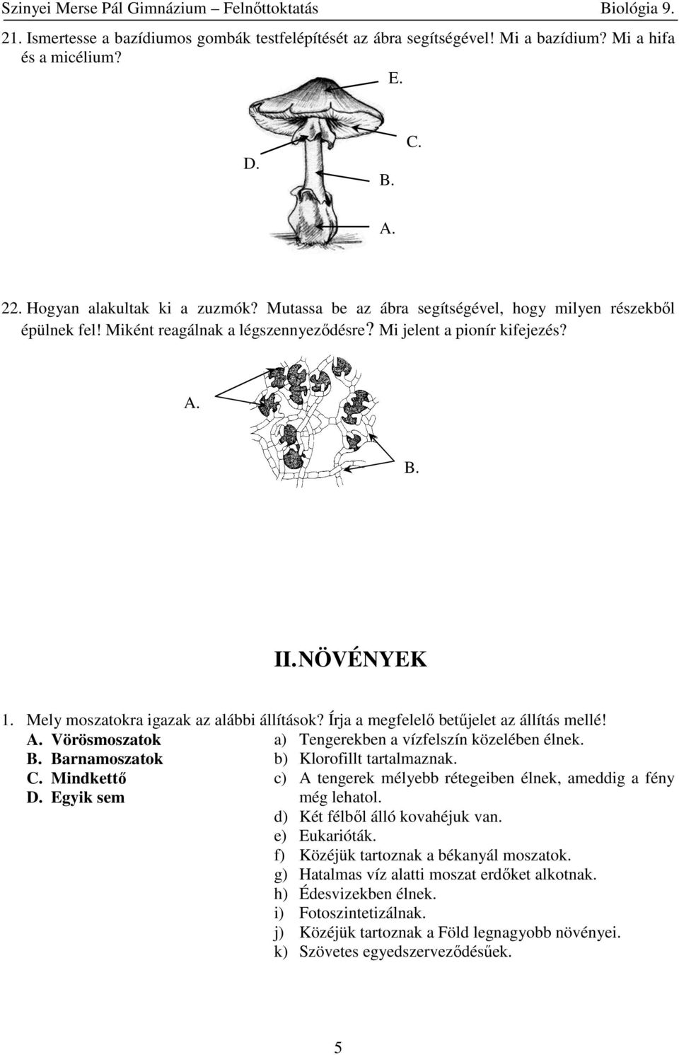 Írja a megfelelő betűjelet az állítás mellé! Vörösmoszatok a) Tengerekben a vízfelszín közelében élnek. Barnamoszatok b) Klorofillt tartalmaznak.