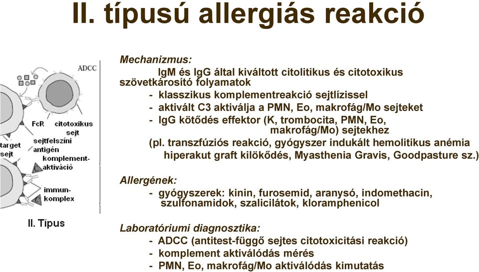 transzfúziós reakció, gyógyszer indukált hemolitikus anémia hiperakut graft kilökődés, Myasthenia Gravis, Goodpasture sz.