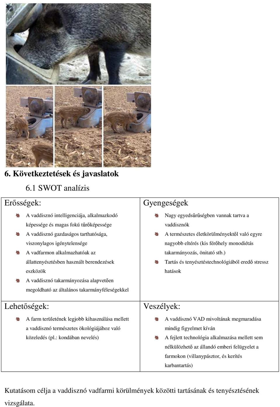 az állattenyésztésben használt berendezések eszközök A vaddisznó takarmányozása alapvetően megoldható az általános takarmányféleségekkel Lehetőségek: A farm területének legjobb kihasználása mellett a