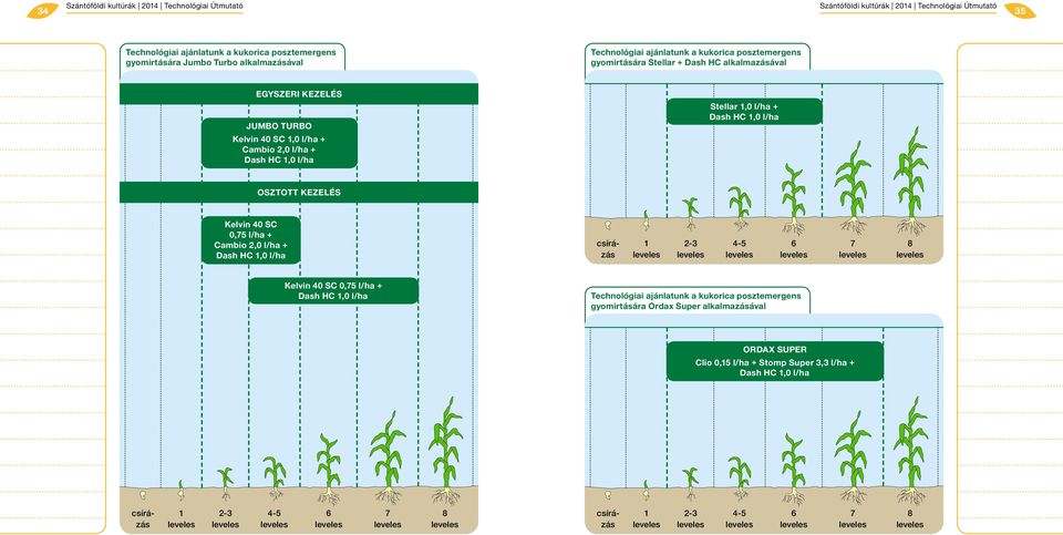 2-3 4-5 6 7 8 zás leveles leveles leveles leveles leveles leveles Kelvin 40 SC 0,75 l/ha + Dash HC 1,0 l/ha Technológiai ajánlatunk a kukorica posztemergens gyomirtására Ordax Super alkalmazásával