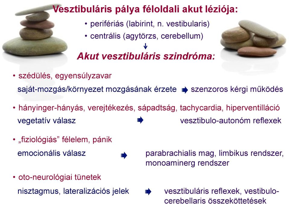 hányinger-hányás, verejtékezés, sápadtság, tachycardia, hiperventilláció vegetatív válasz vesztibulo-autonóm reflexek fiziológiás félelem, pánik