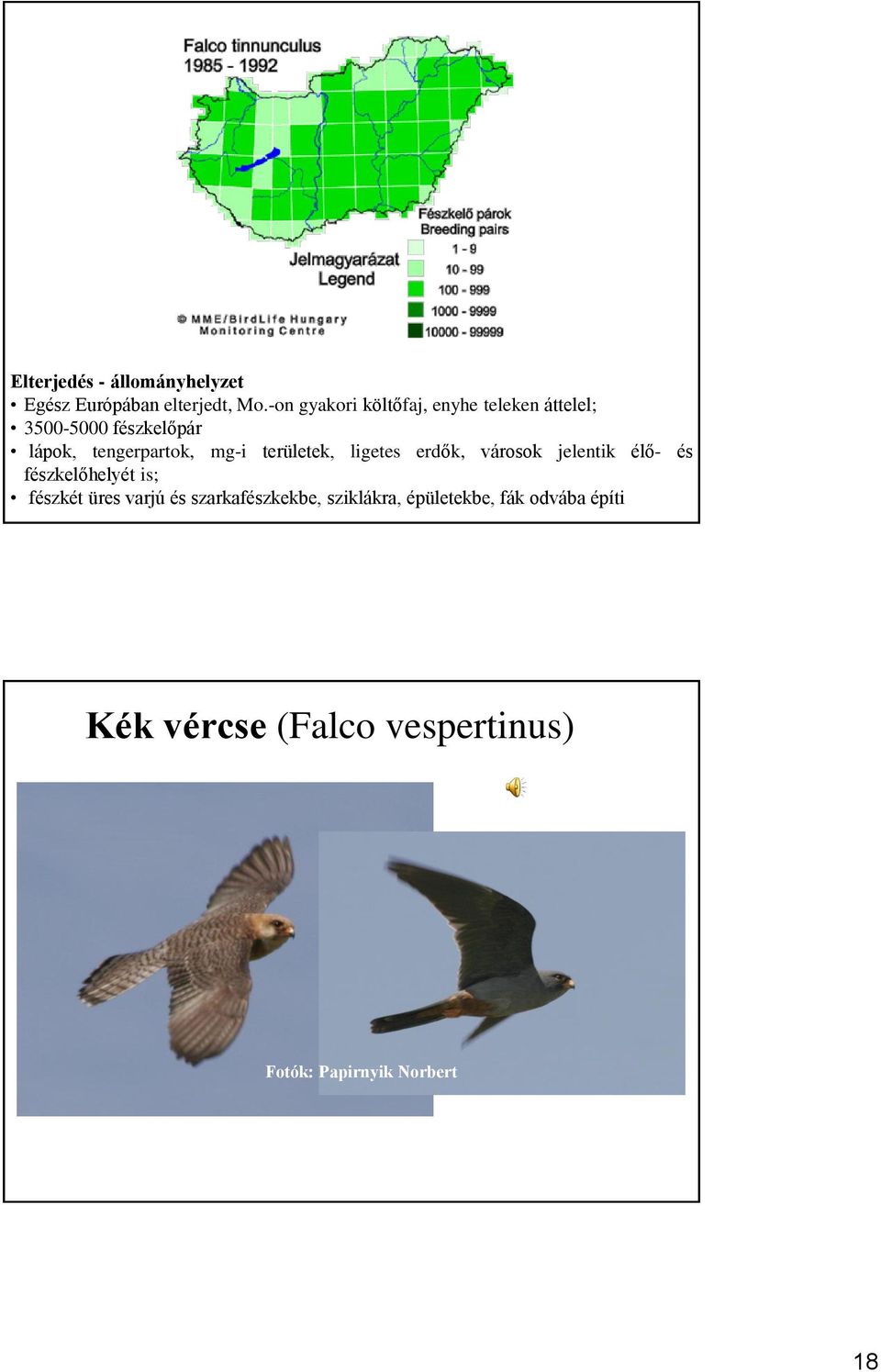 mg-i területek, ligetes erdők, városok jelentik élő- és fészkelőhelyét is; fészkét üres