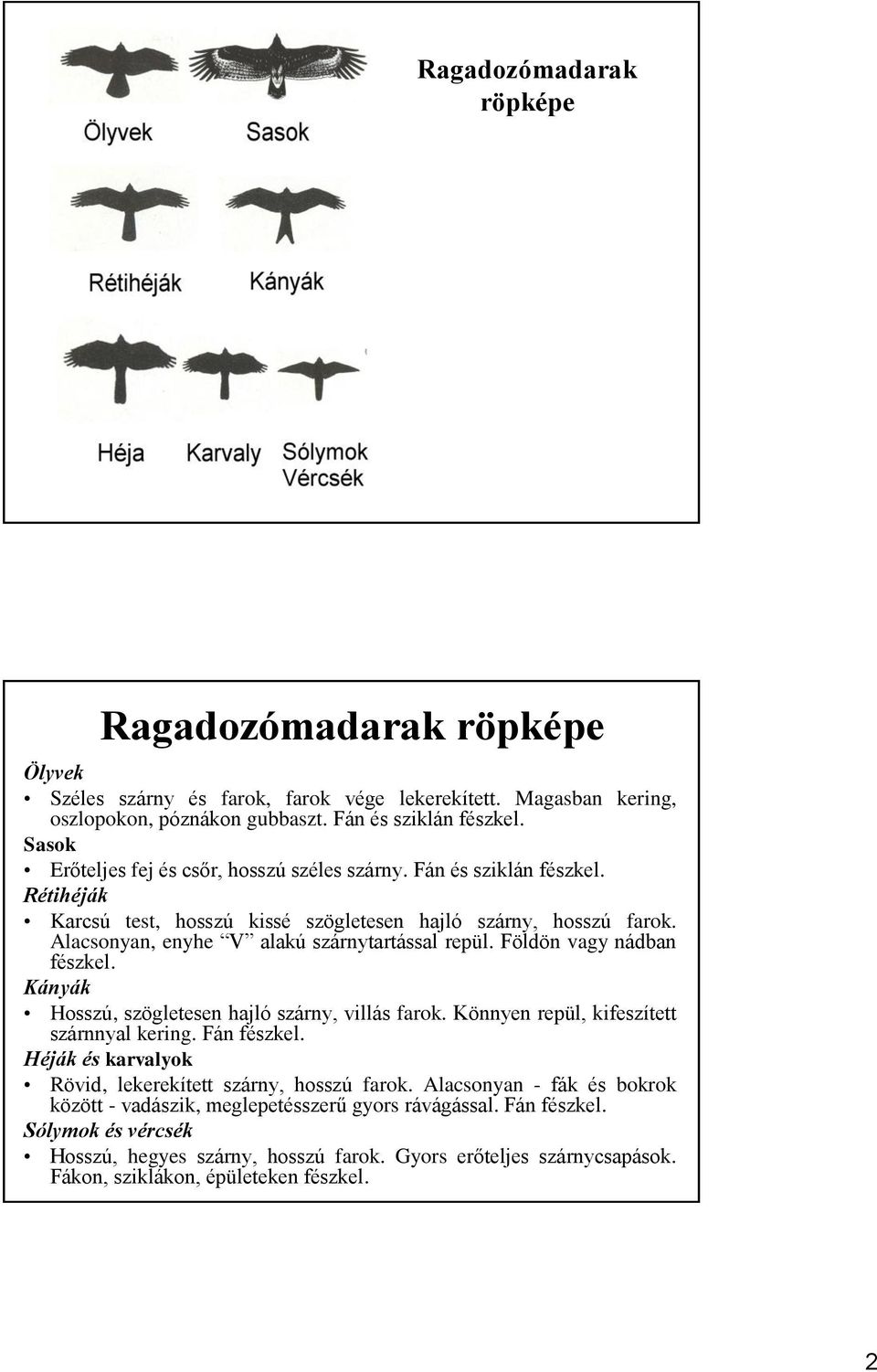 Földön vagy nádban fészkel. Kányák Hosszú, szögletesen hajló szárny, villás farok. Könnyen repül, kifeszített szárnnyal kering. Fán fészkel.