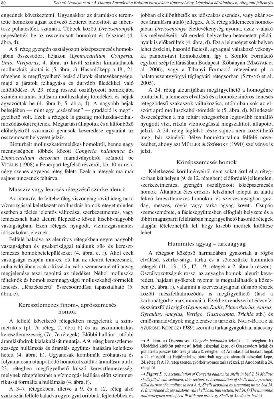 ábra, d). A 8. réteg gyengén osztályozott középszemcsés homokjában összesodort héjakon (Lymnocardium, Congeria, Unio, Viviparus, 4. ábra, a) kívül szintén kimutathatók molluszkák járatai is (5.