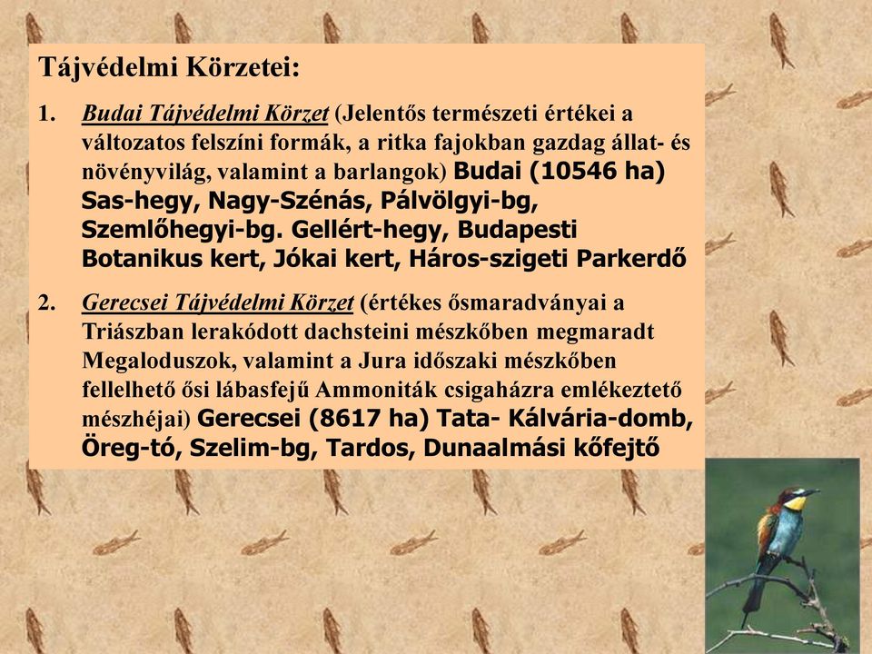 (10546 ha) Sas-hegy, Nagy-Szénás, Pálvölgyi-bg, Szemlőhegyi-bg. Gellért-hegy, Budapesti Botanikus kert, Jókai kert, Háros-szigeti Parkerdő 2.