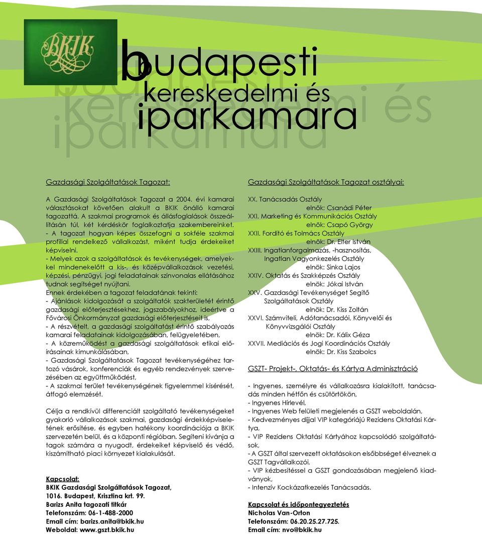 - A tagozat hogyan képes összefogni a sokféle szakmai profillal rendelkező vállalkozást, miként tudja érdekeiket képviselni.