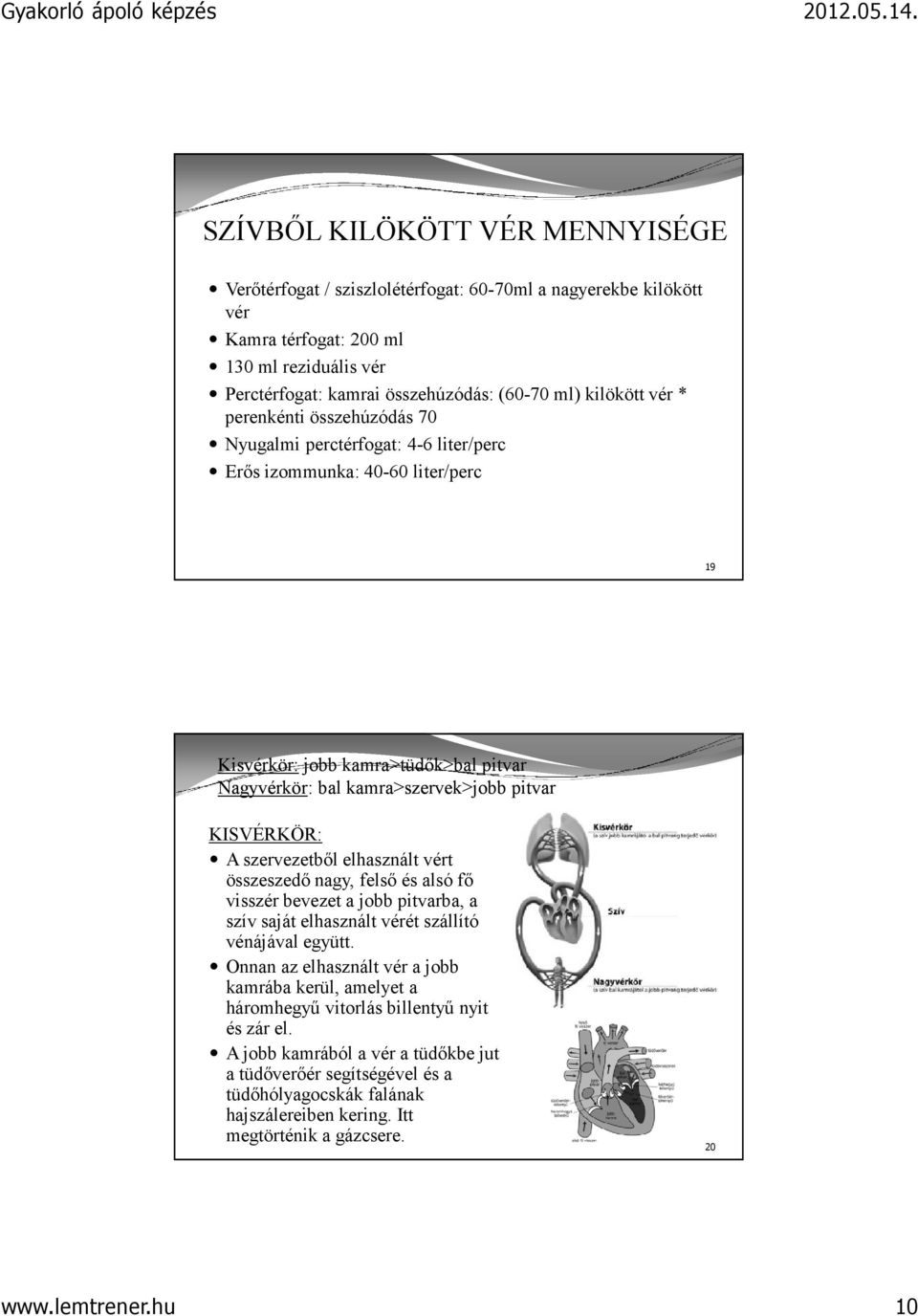 A szervezetből elhasznált vért összeszedő nagy, felső és alsó fő visszér bevezet a jobb pitvarba, a szív saját elhasznált vérét szállító vénájával együtt.