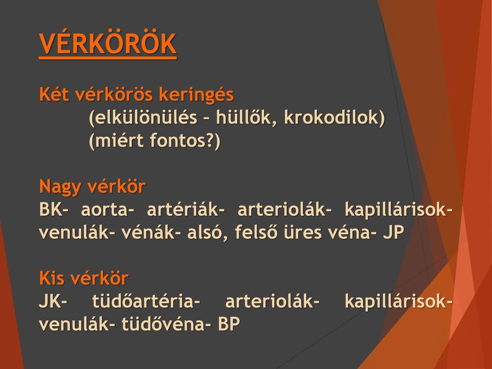 ) Nagy vérkör BK- aorta- artériák- arteriolák-