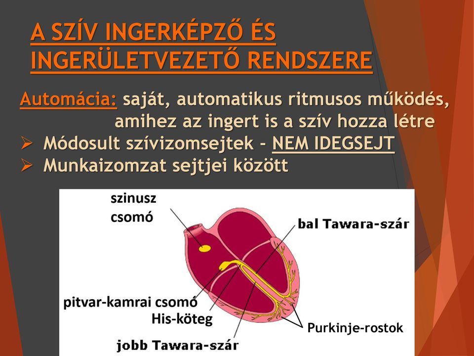 amihez az ingert is a szív hozza létre Módosult