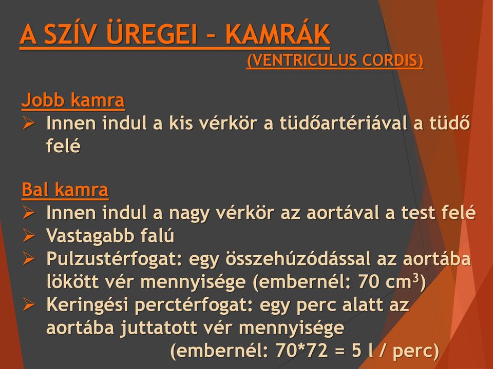 Pulzustérfogat: egy összehúzódással az aortába lökött vér mennyisége (embernél: 70 cm 3 )