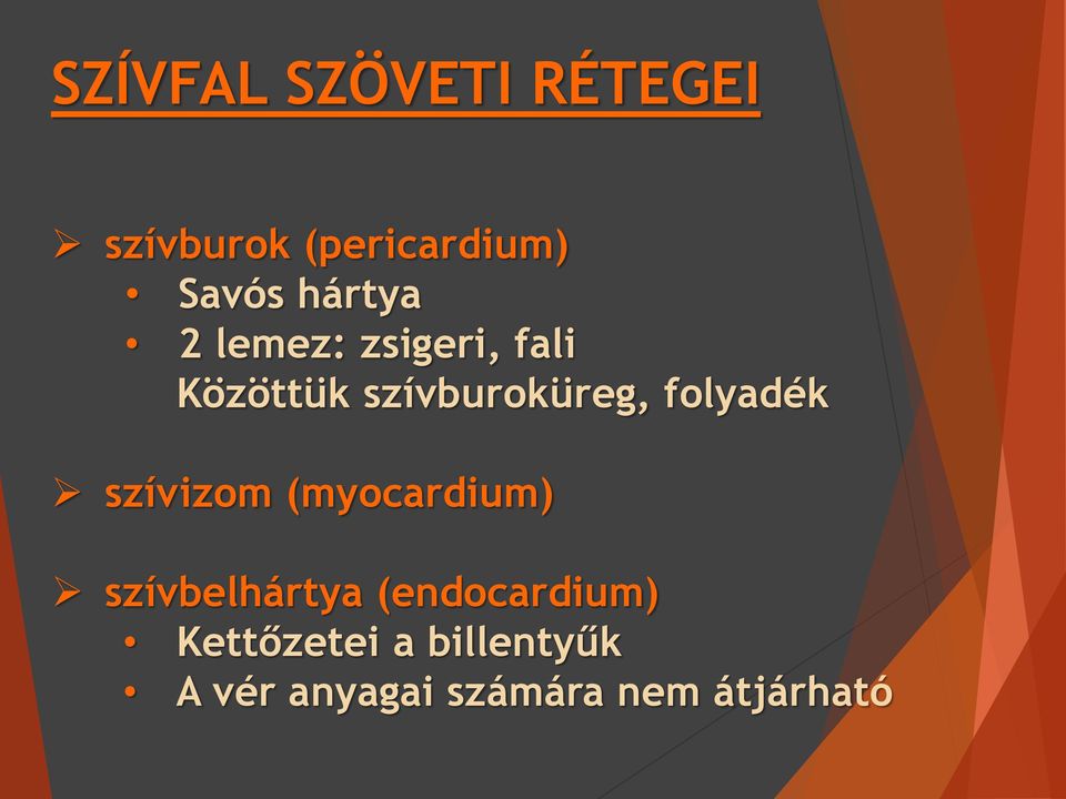 folyadék szívizom (myocardium) szívbelhártya