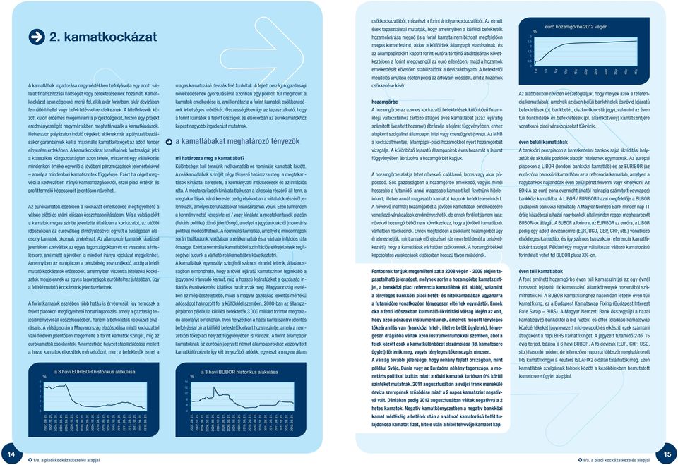 A hitelfelvevôk között külön érdemes megemlíteni a projektcégeket, hiszen egy projekt eredményességét nagymértékben meghatározzák a kamatkiadások, illetve azon pályázaton induló cégeket, akiknek már