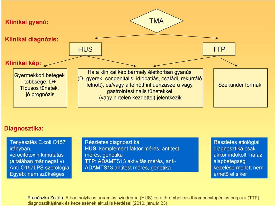 Diagnosztika: Tenyésztés E.