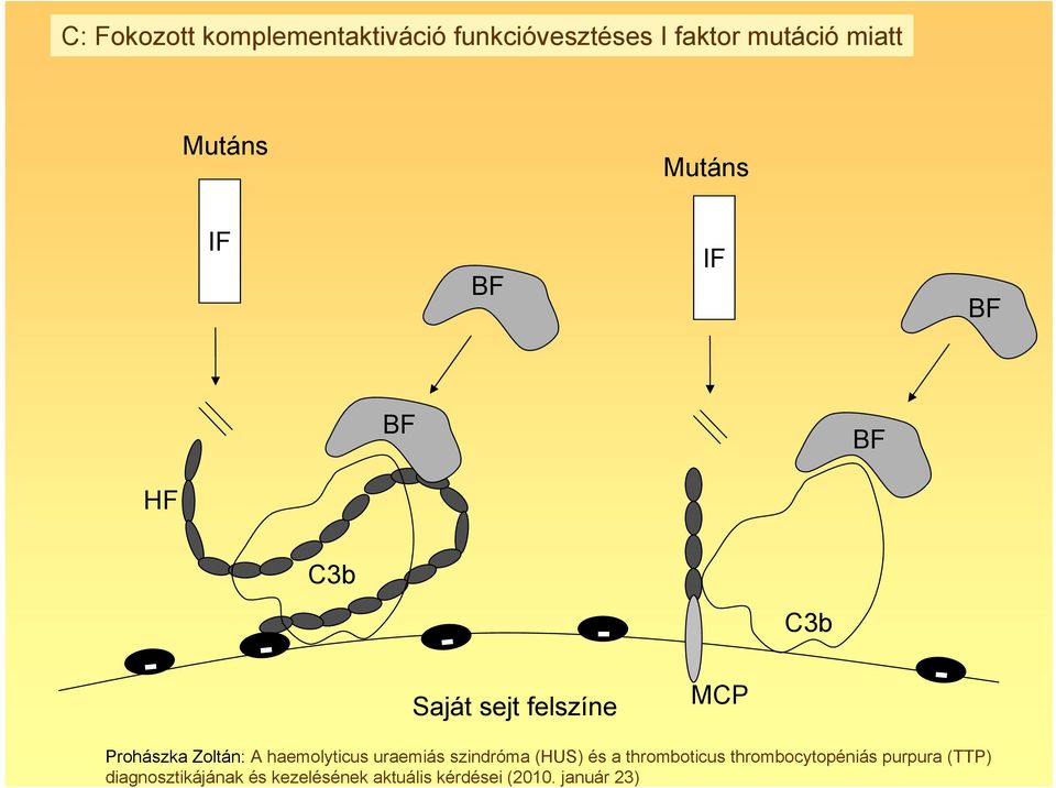 miatt Mutáns Mutáns IF BF IF BF BF