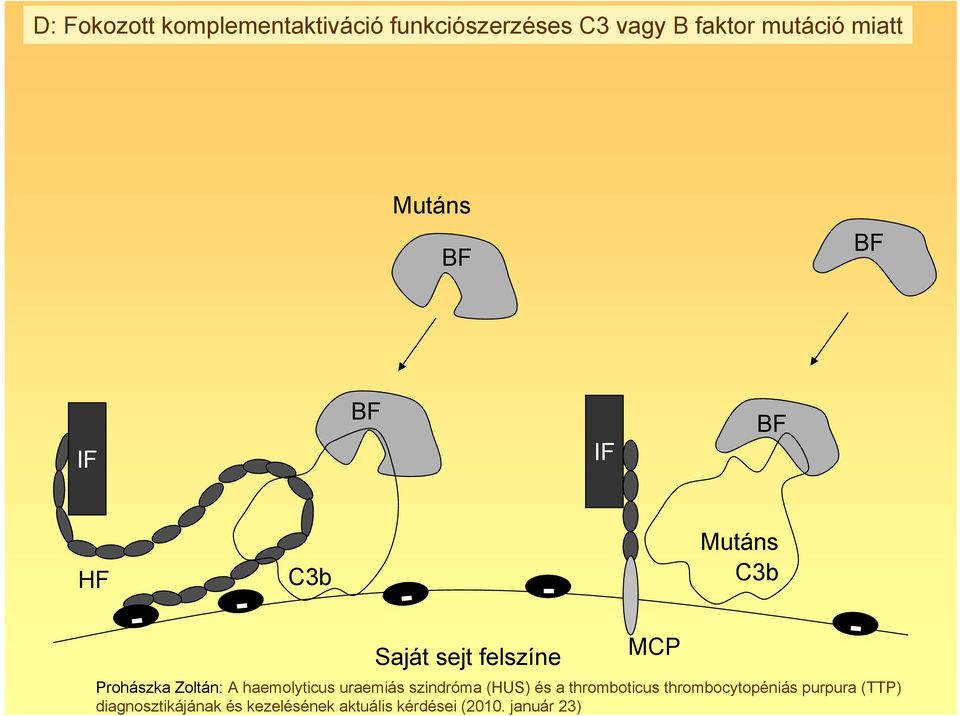 mutáció miatt Mutáns BF BF IF BF IF BF