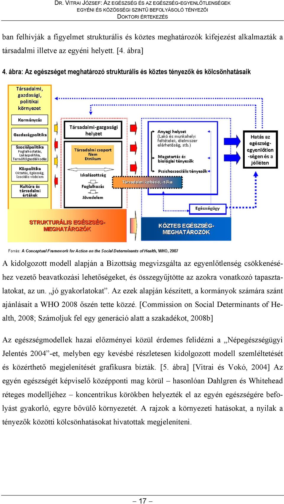 ábra: Az egészséget meghatározó strukturális és köztes tényezők és kölcsönhatásaik A kidolgozott modell alapján a Bizottság megvizsgálta az egyenlőtlenség csökkenéséhez vezető beavatkozási