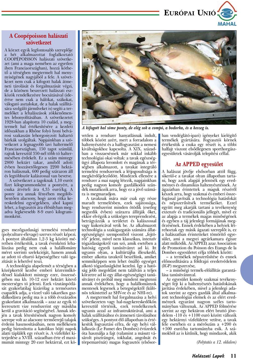 A szövetkezet nem csak a kifogott halak átmeneti tárolását és forgalmazását végzi, de a közösen beszerzett halászati eszközök rendelkezésre bocsátásával (ideértve nem csak a hálókat, szákokat,