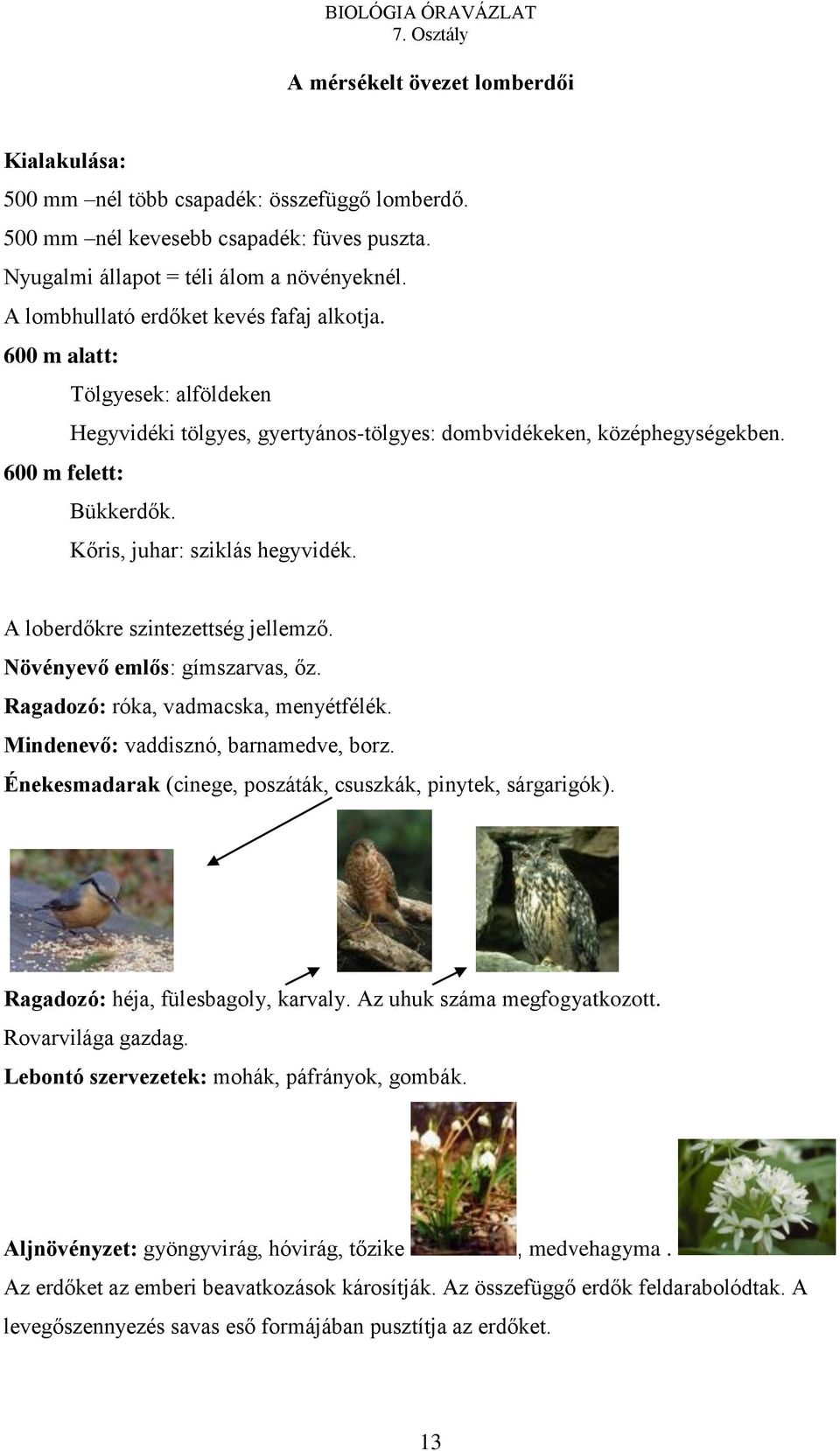 Kőris, juhar: sziklás hegyvidék. A loberdőkre szintezettség jellemző. Növényevő emlős: gímszarvas, őz. Ragadozó: róka, vadmacska, menyétfélék. Mindenevő: vaddisznó, barnamedve, borz.