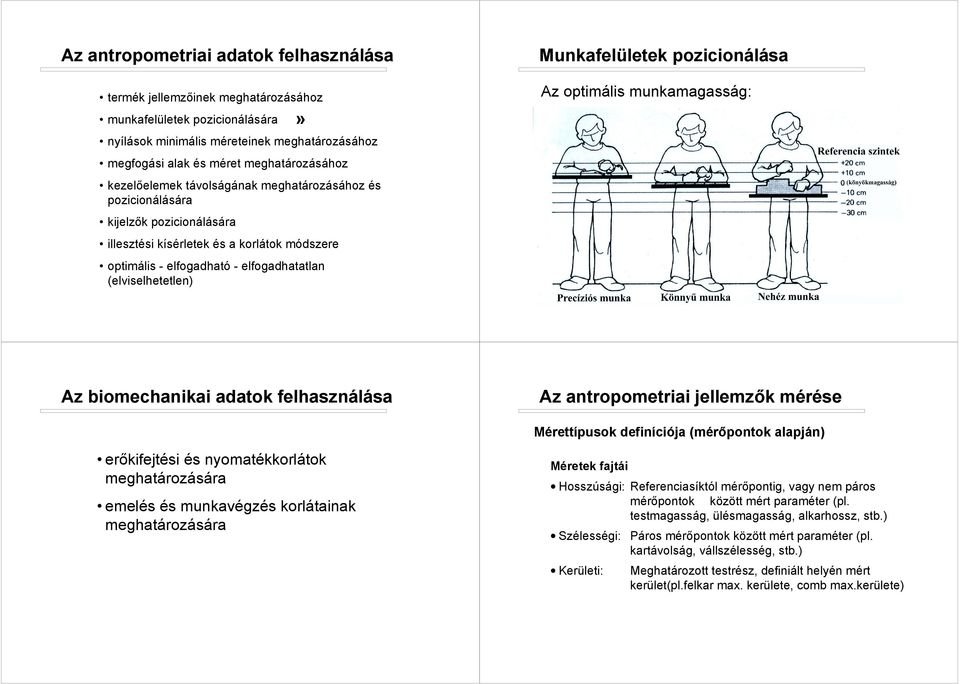 Munkafelületek pozicionálása Az optimális munkamagasság: Az biomechanikai adatok felhasználása Az antropometriai jellemzők mérése Mérettípusok definíciója (mérőpontok alapján) erőkifejtési és