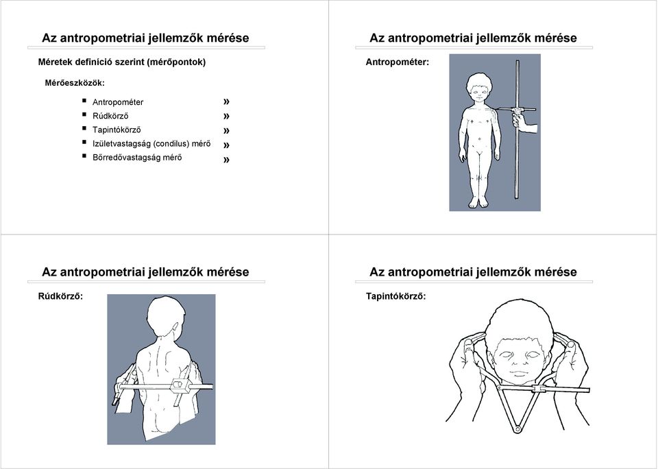 Rúdkörző " Tapintókörző " Izületvastagság (condilus) mérő " Bőrredővastagság mérő