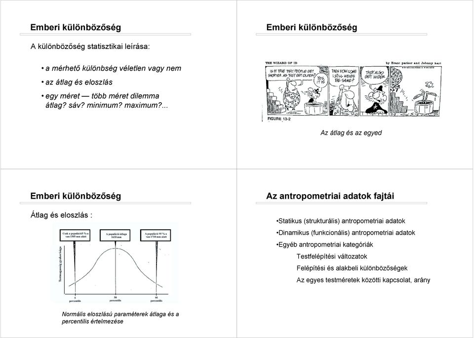 ... Az átlag és az egyed Átlag és eloszlás : Az antropometriai adatok fajtái Statikus (strukturális) antropometriai adatok Dinamikus