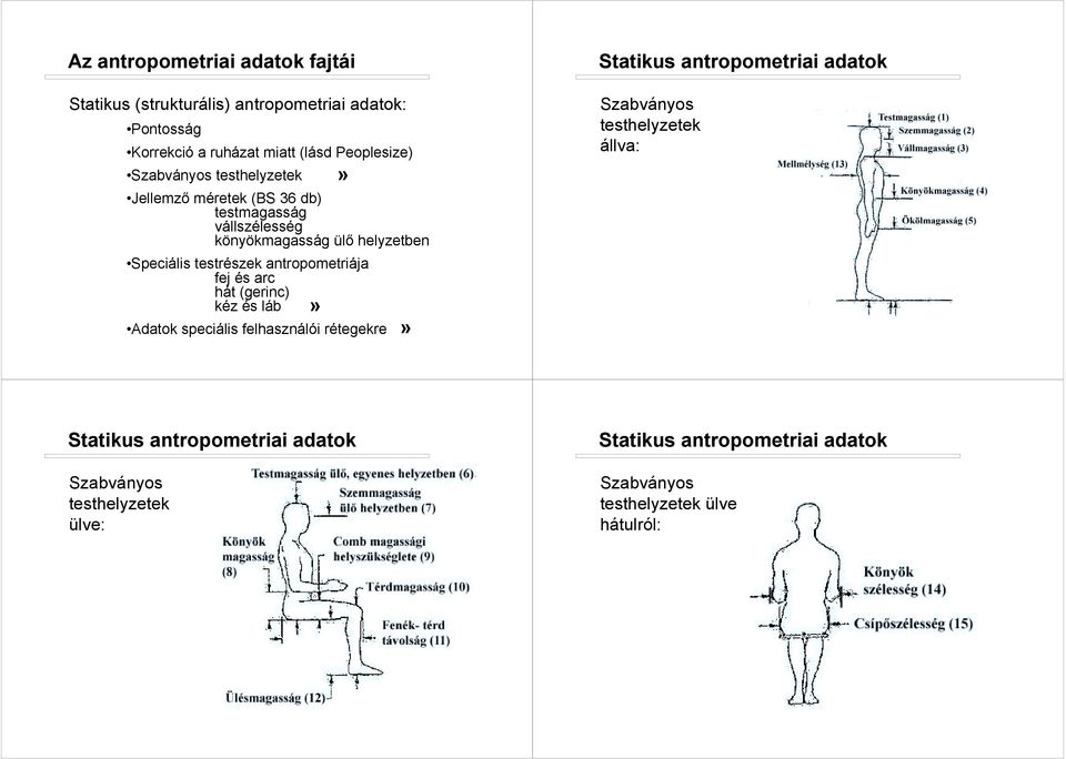 antropometriája fej és arc hát (gerinc) kéz és láb Adatok speciális felhasználói rétegekre Statikus antropometriai adatok Szabványos